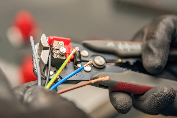 Best Local Electrician Companies  in Fort Sumner, NM